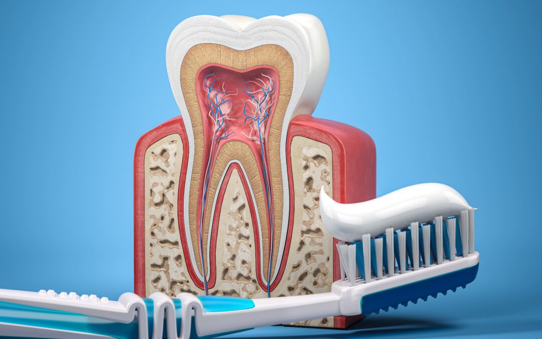 Estas son las razones por las que proteger la dentina de tus dientes